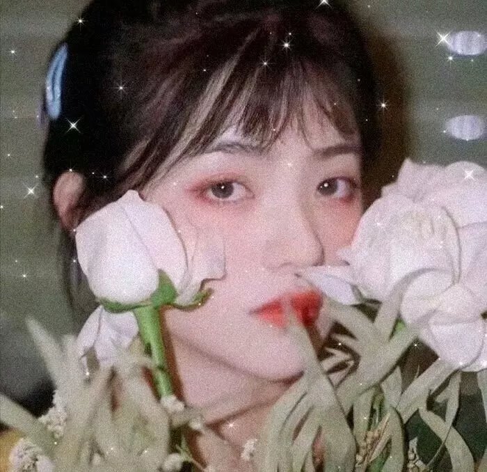 白鸟：奇迹